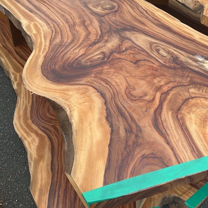 KUSUNOKI (JAPANESE CAMPHOR)