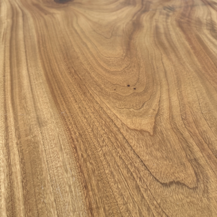 KUSUNOKI (JAPANESE CAMPHOR)