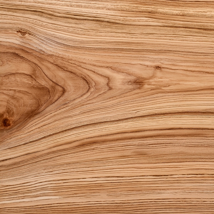 SAKURA (Japanese Cherry)