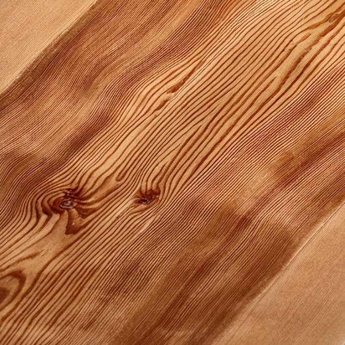 SUGI (Japanese Cedar)